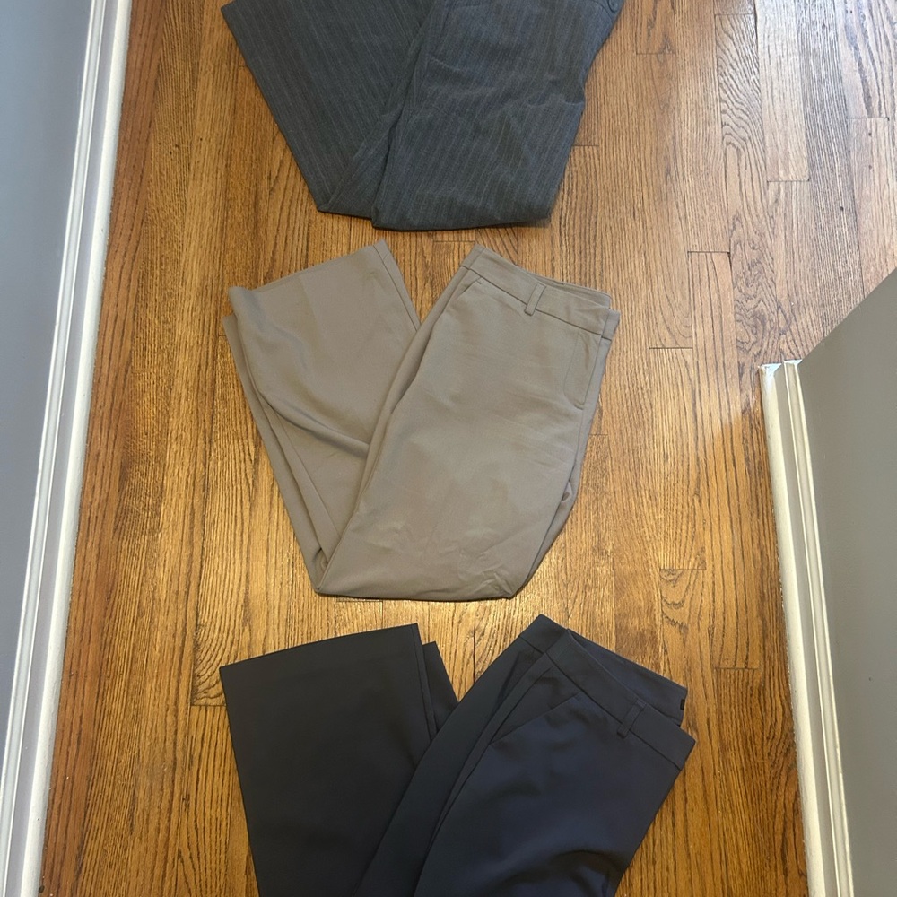 Women’s Curvy Dress Pant Lot